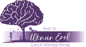 Prof. Dr. İlknur Erol